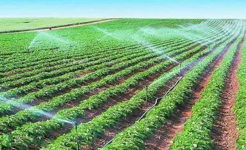 美妇骚鲍农田高 效节水灌溉